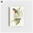 アートメモ帳-Red-collared Lorikeet
 - オーストラリアの鳥 Memo.