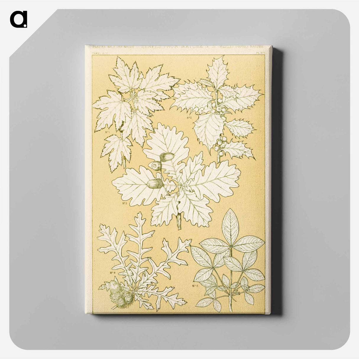 アートパネル-Nineteenth-Century Ornament
 - 装飾の文法 Canvas.