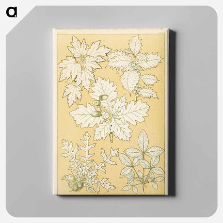 アートパネル-Nineteenth-Century Ornament
 - 装飾の文法 Canvas.