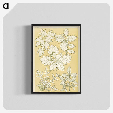 1-65_The-Grammar-of-Ornament_blk-crop
