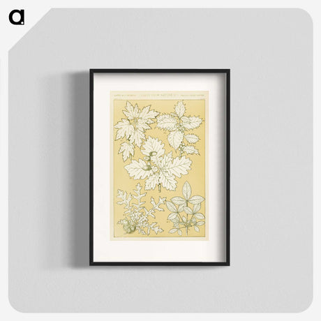 1-65_The-Grammar-of-Ornament_blk