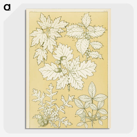 1-65_The-Grammar-of-Ornament_picture-crop