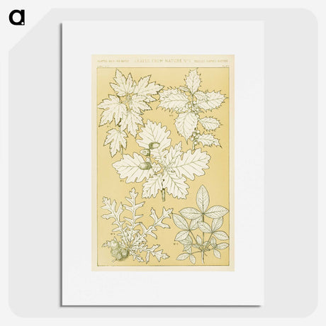 1-65_The-Grammar-of-Ornament_picture