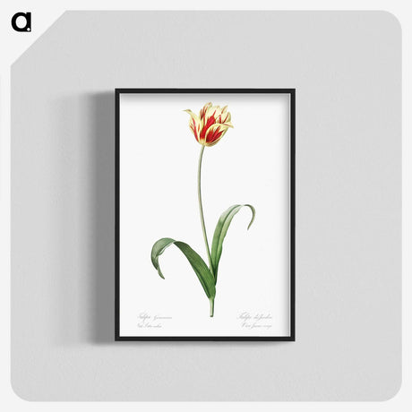 1-65_The-Lilies_blk-crop