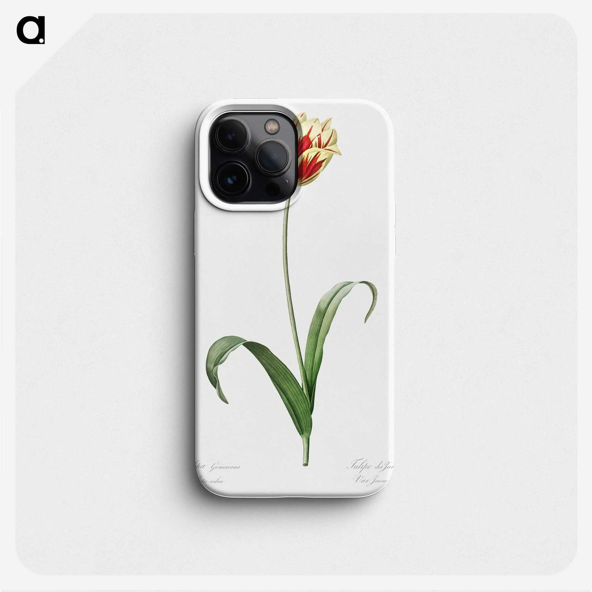 1-65_The-Lilies_phone