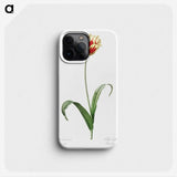 1-65_The-Lilies_phone