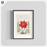 アートポスター-Basil Thyme, Poppy Anemone, and Myrtle from Mira Calligraphiae Monumenta
 - 書道のお手本 Poster.