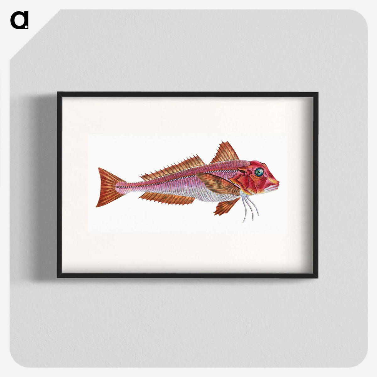 1-65_The-Natural-History-of-British-Fishes_blk
