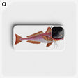 1-65_The-Natural-History-of-British-Fishes_phone