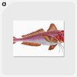 1-65_The-Natural-History-of-British-Fishes_postcard