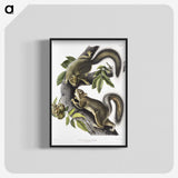 1-65_The-Viviparous-Quadrupeds_blk-crop