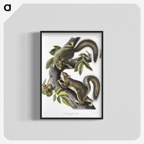 1-65_The-Viviparous-Quadrupeds_blk-crop