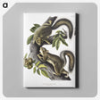 1-65_The-Viviparous-Quadrupeds_canvas