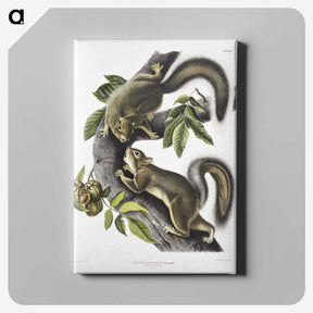 1-65_The-Viviparous-Quadrupeds_canvas
