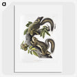 1-65_The-Viviparous-Quadrupeds_picture