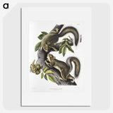 1-65_The-Viviparous-Quadrupeds_picture