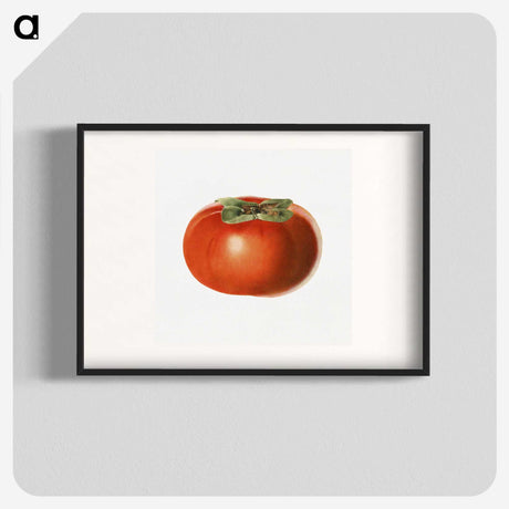 1-65_USDA-Watercolor-Fruit-Painting-Collection_blk