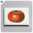 1-65_USDA-Watercolor-Fruit-Painting-Collection_canvas