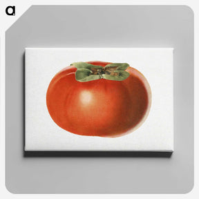 1-65_USDA-Watercolor-Fruit-Painting-Collection_canvas