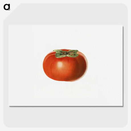 1-65_USDA-Watercolor-Fruit-Painting-Collection_picture