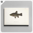 1-65_Wilhelm-von-Wright_canvas