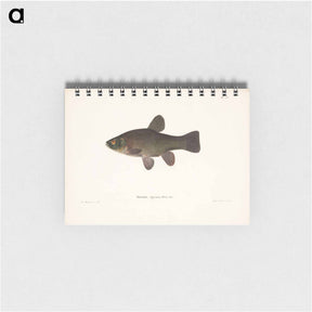 アートメモ帳-Tench - ヴィルヘルム フォン ライト Memo.