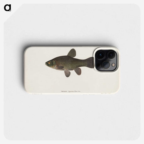 1-65_Wilhelm-von-Wright_phone