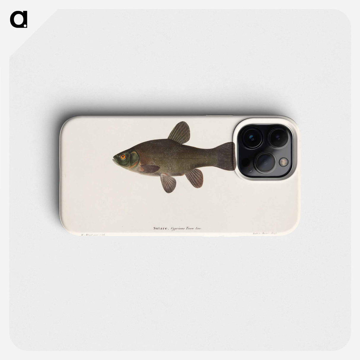 Tench - Wilhelm von Wright Phone Case.