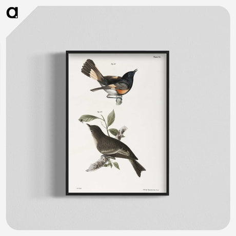 1-65_Zoology-of-New-York_blk-crop