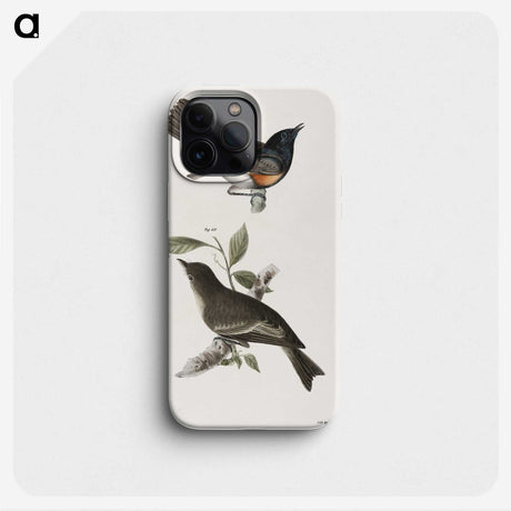 1-65_Zoology-of-New-York_phone