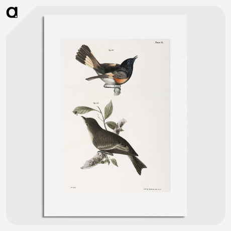 1-65_Zoology-of-New-York_picture