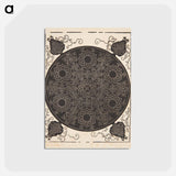 アートポストカード-Knob with seven rings - アルブレヒト デューラー Postcard.