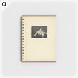 1-66_Alfred-Stieglitz_memo