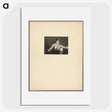 1-66_Alfred-Stieglitz_picture