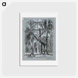 1-66_Alfred-William-Finch_hagaki