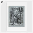 1-66_Alfred-William-Finch_picture