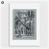 1-66_Alfred-William-Finch_picture