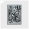 1-66_Alfred-William-Finch_postcard