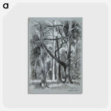 1-66_Alfred-William-Finch_postcard