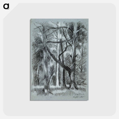 アートポストカード-Forest landscape from urajärvi - アルフレッド ウィリアム フィンチ Postcard.