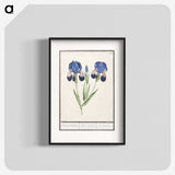 1-66_Anselmus-Boetius-de-Boodt_blk
