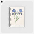 1-66_Anselmus-Boetius-de-Boodt_memo