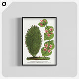 1-66_Botanical-Specimen-Plates_blk-crop