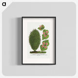 1-66_Botanical-Specimen-Plates_blk