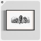 アートポスター-Owls from Griset's Grotesques
 - 大英図書館 Poster.