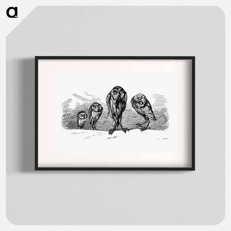 アートポスター-Owls from Griset's Grotesques
 - 大英図書館 Poster.