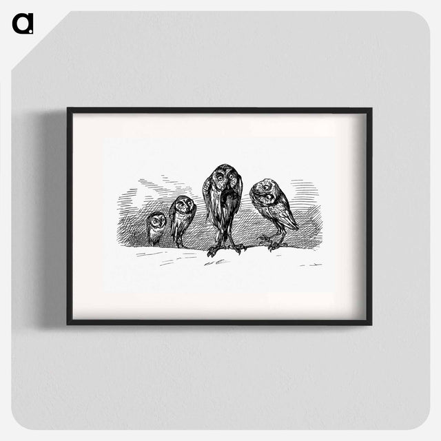 アートポスター-Owls from Griset's Grotesques
 - 大英図書館 Poster.