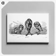 1-66_British-Library_canvas