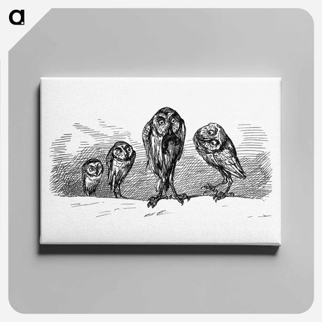 アートパネル-Owls from Griset's Grotesques
 - 大英図書館 Canvas.