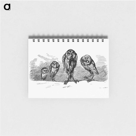アートメモ帳-Owls from Griset's Grotesques
 - 大英図書館 Memo.